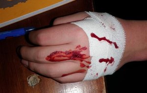 PA290145 (Small).JPG