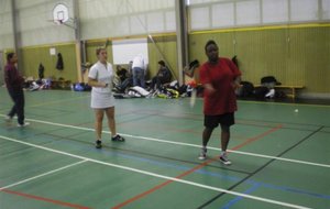 IMGP3222 (Small).JPG