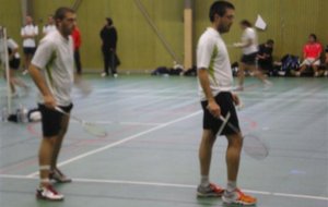 IMGP3201 (Small).JPG